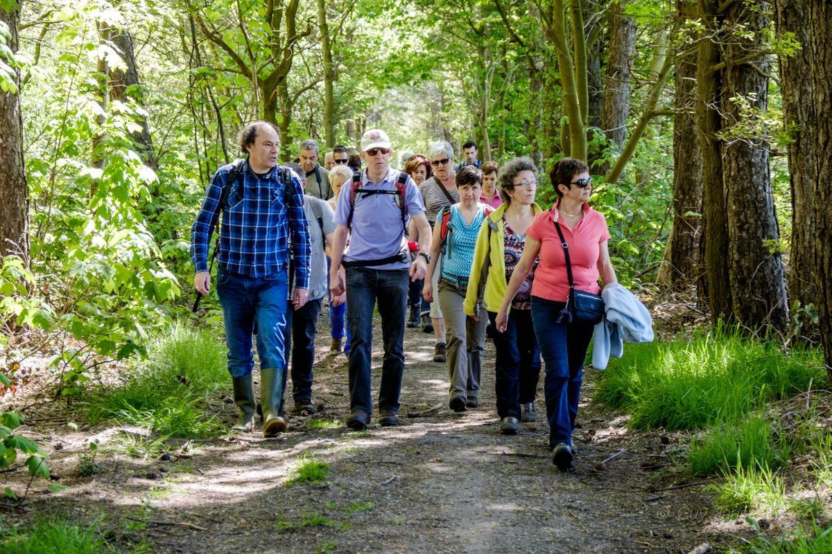 Muzikale wandelingen